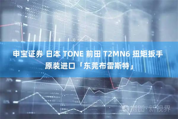 申宝证券 日本 TONE 前田 T2MN6 扭矩扳手 原装进口「东莞布雷斯特」